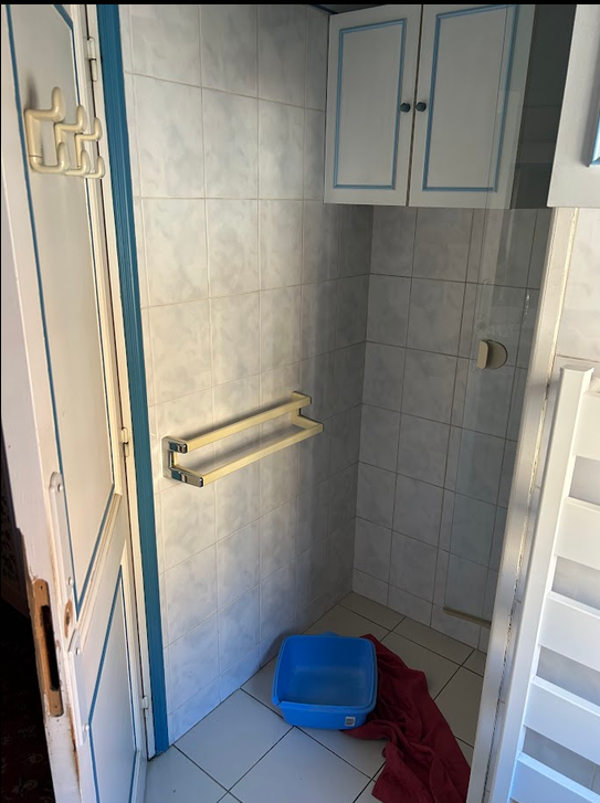 Maison à Marcq-en-Barœul, 125 m² — Douche vétuste avant démolition
